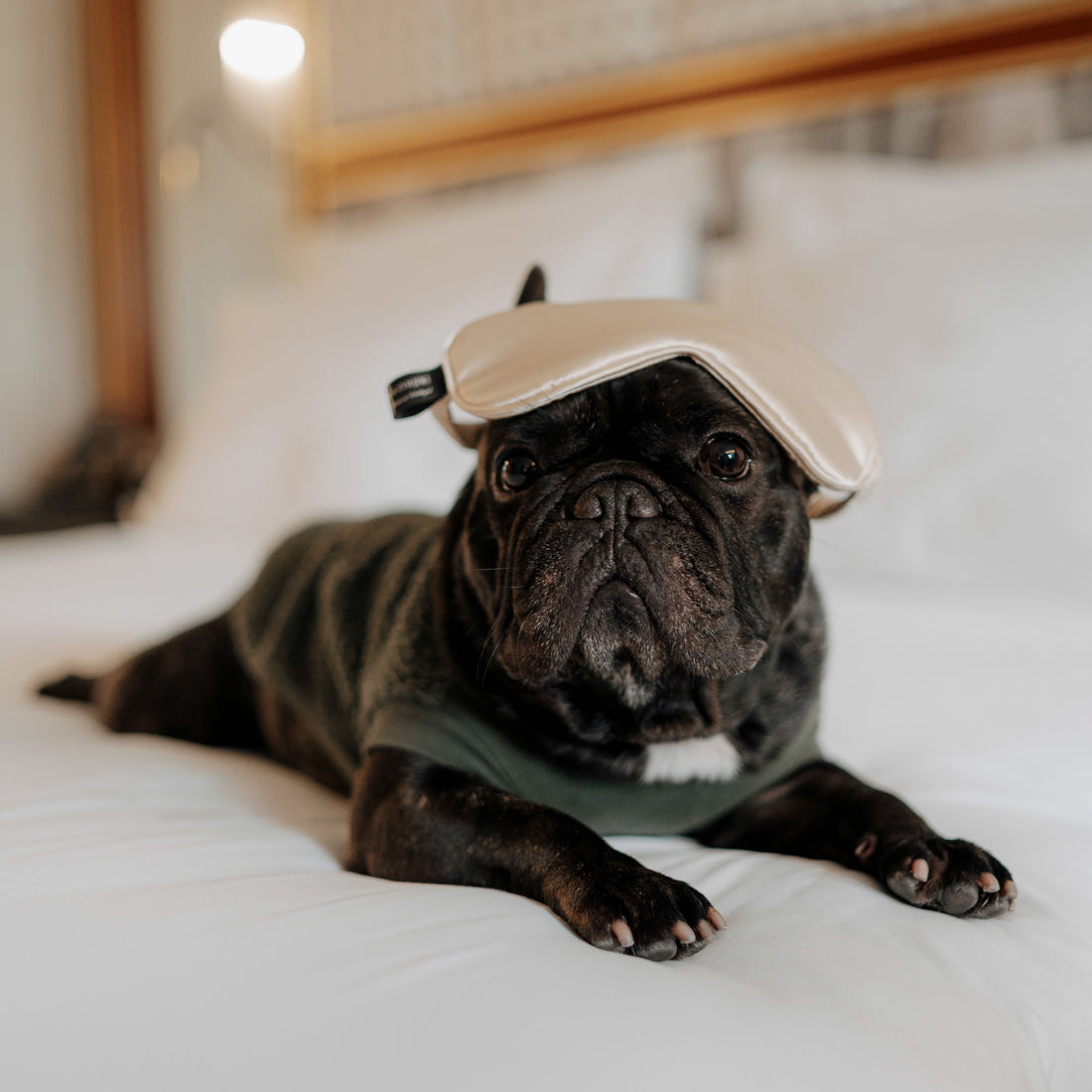 Aromas que ajudam a dormir melhor: mito ou verdade?