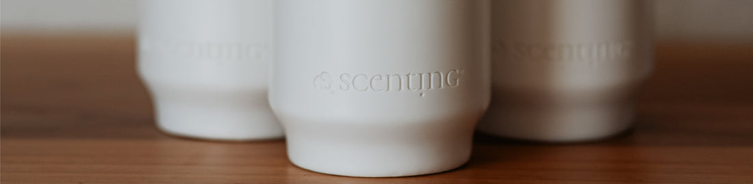 Quando o inverno se funde na primavera...