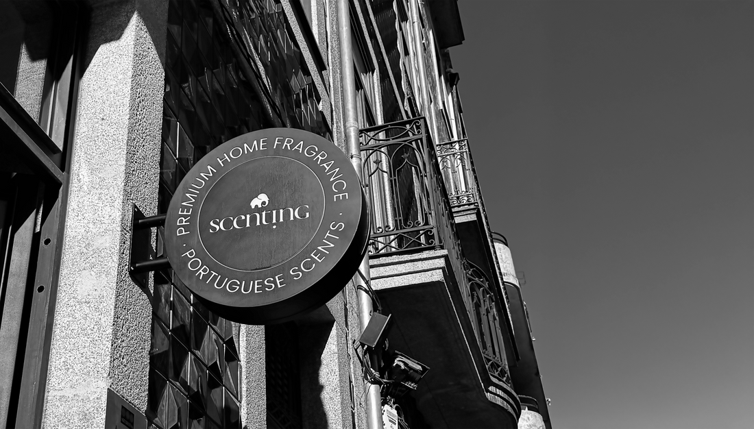 Scenting na Baixa do Porto