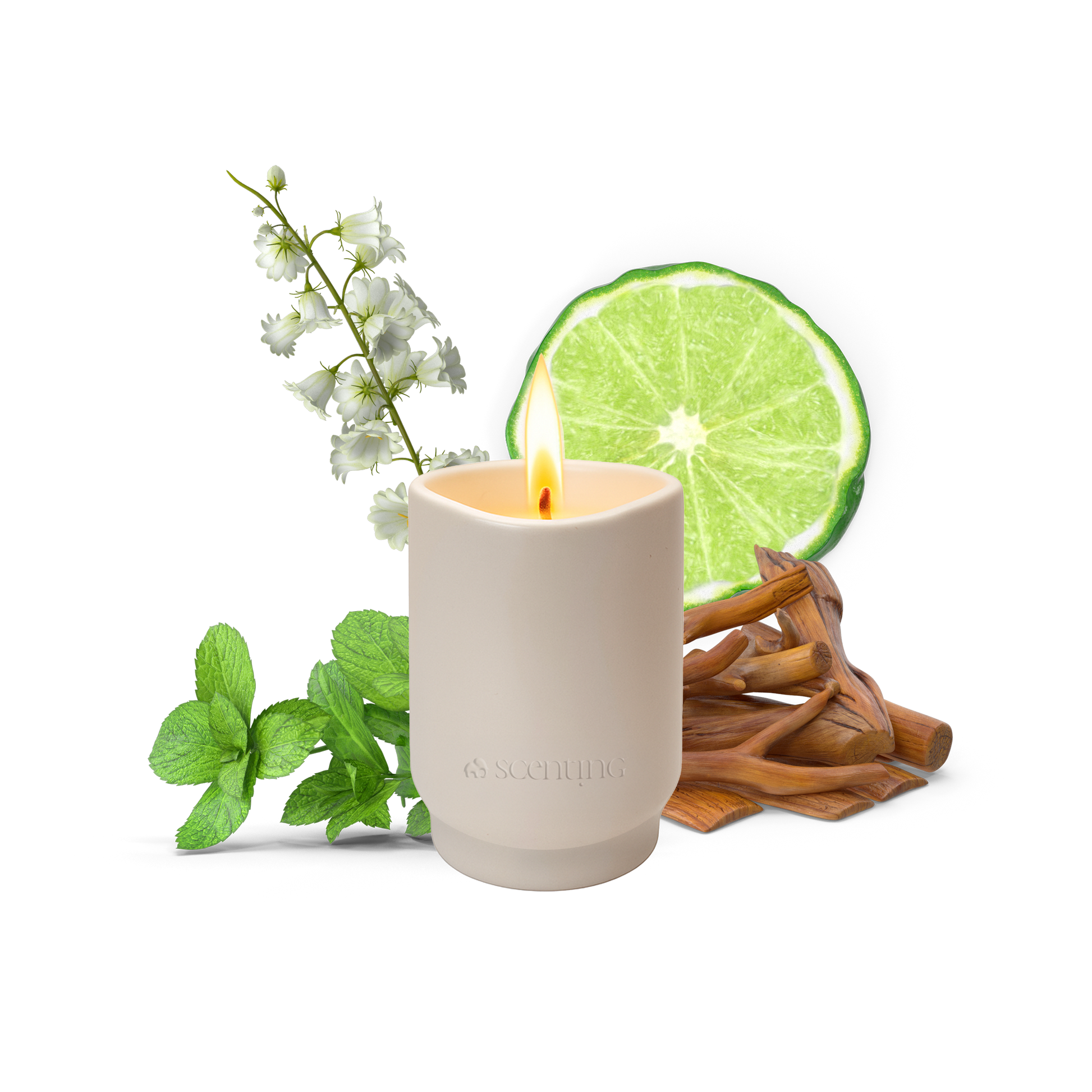 Bergamot & Sandalwood Scented Candle, 100g - Scenting