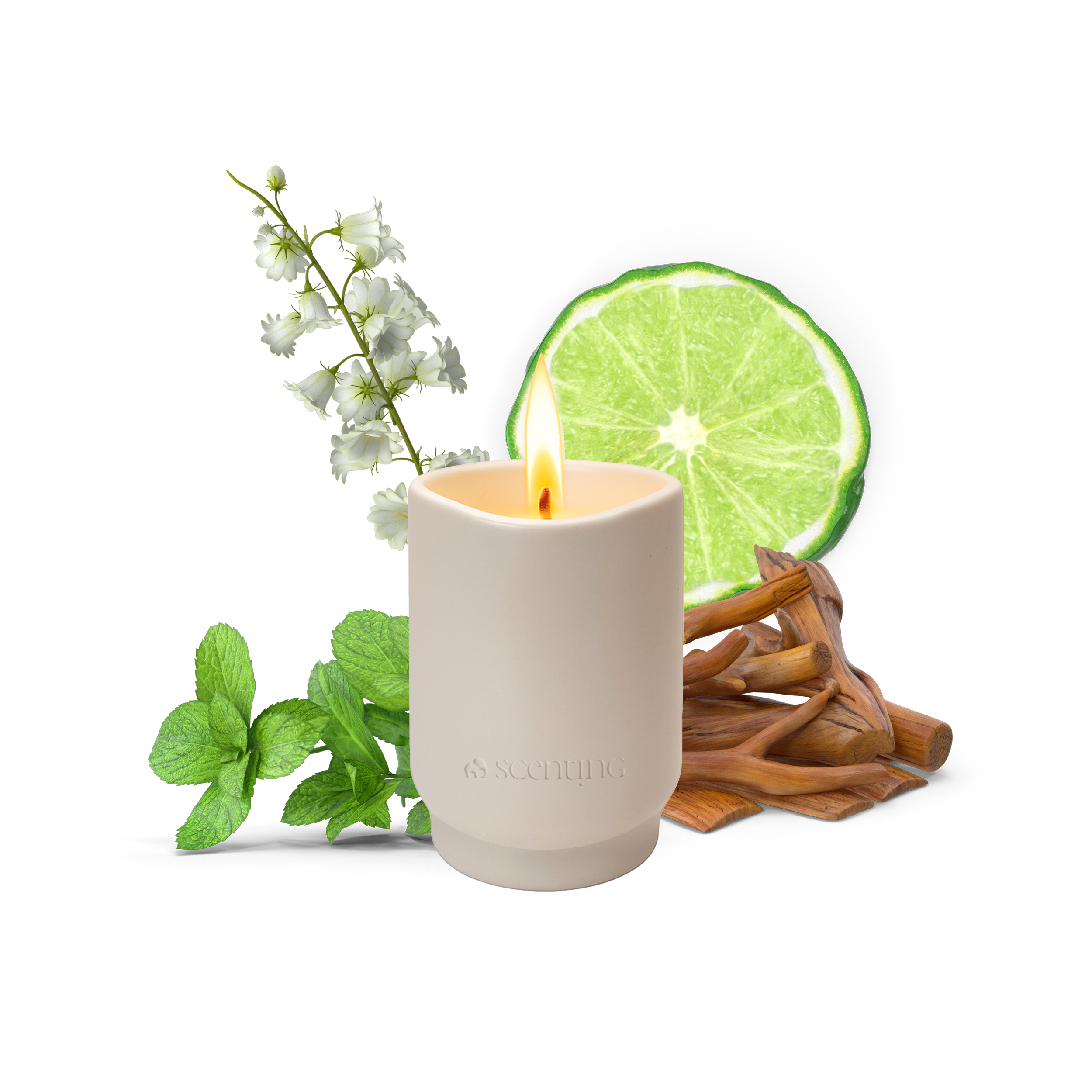 Bergamot & Sandalwood Scented Candle, 100g - Scenting