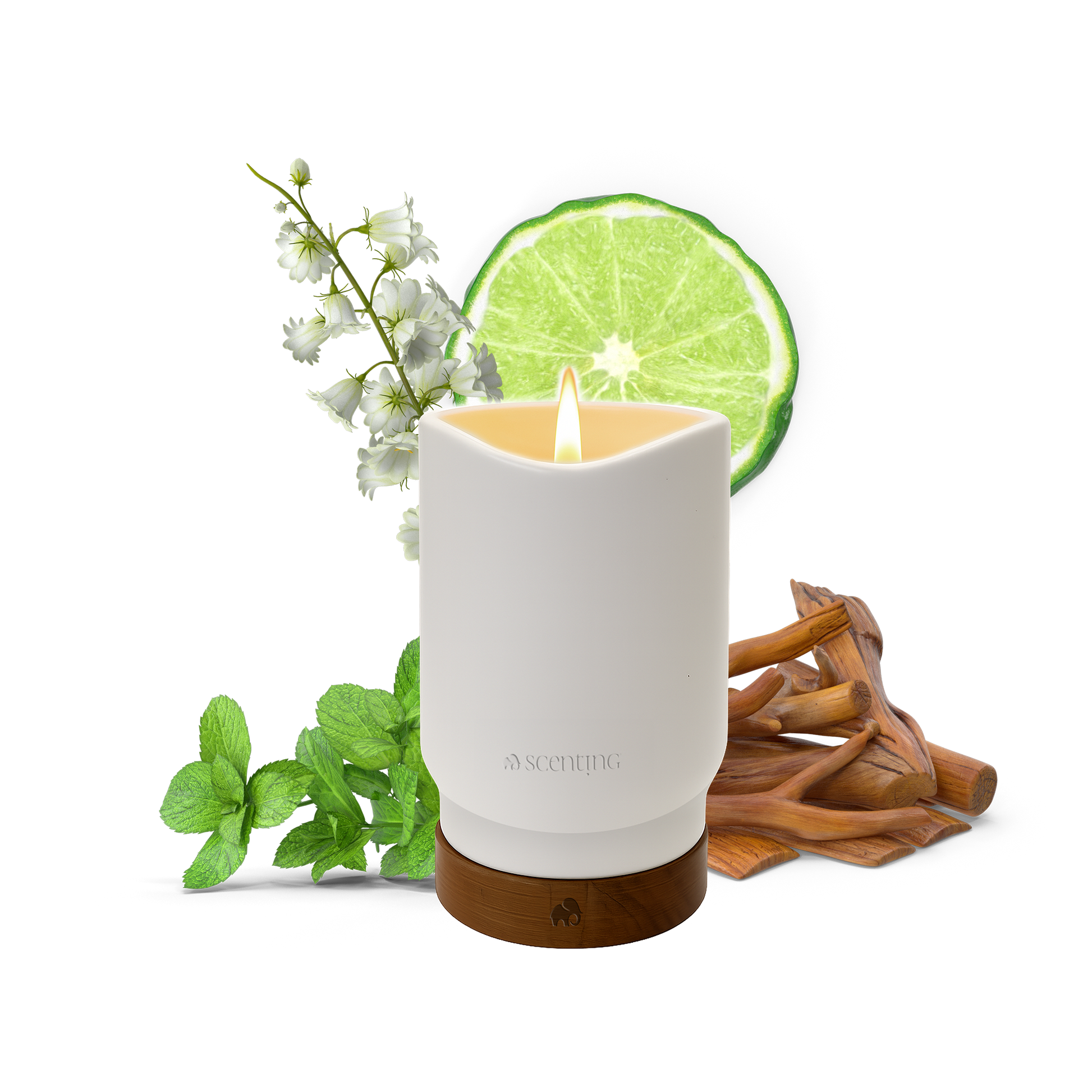 Bergamot & Sandalwood Scented Candle, 450g - Scenting