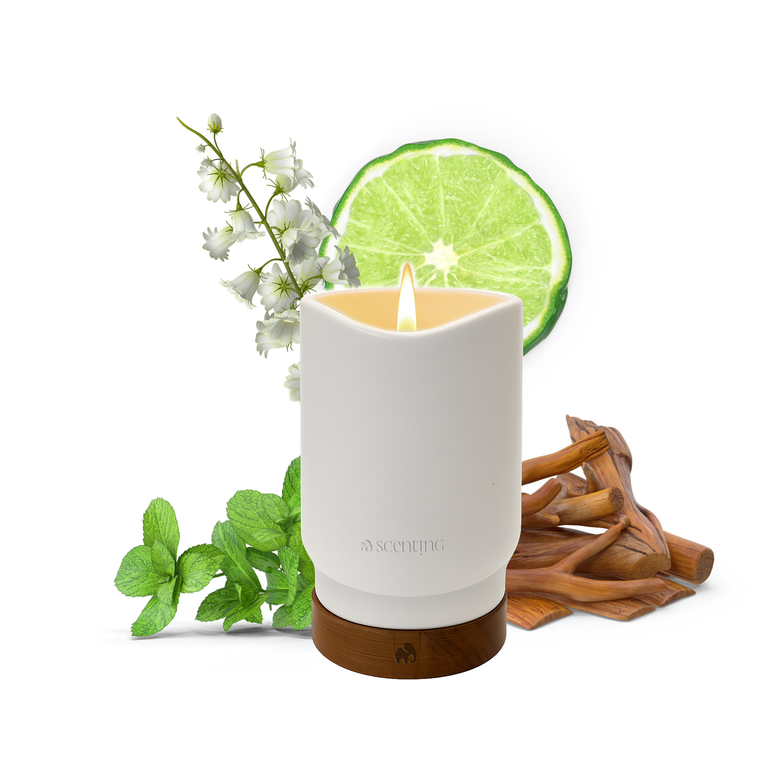 Bergamot & Sandalwood Scented Candle, 450g - Scenting