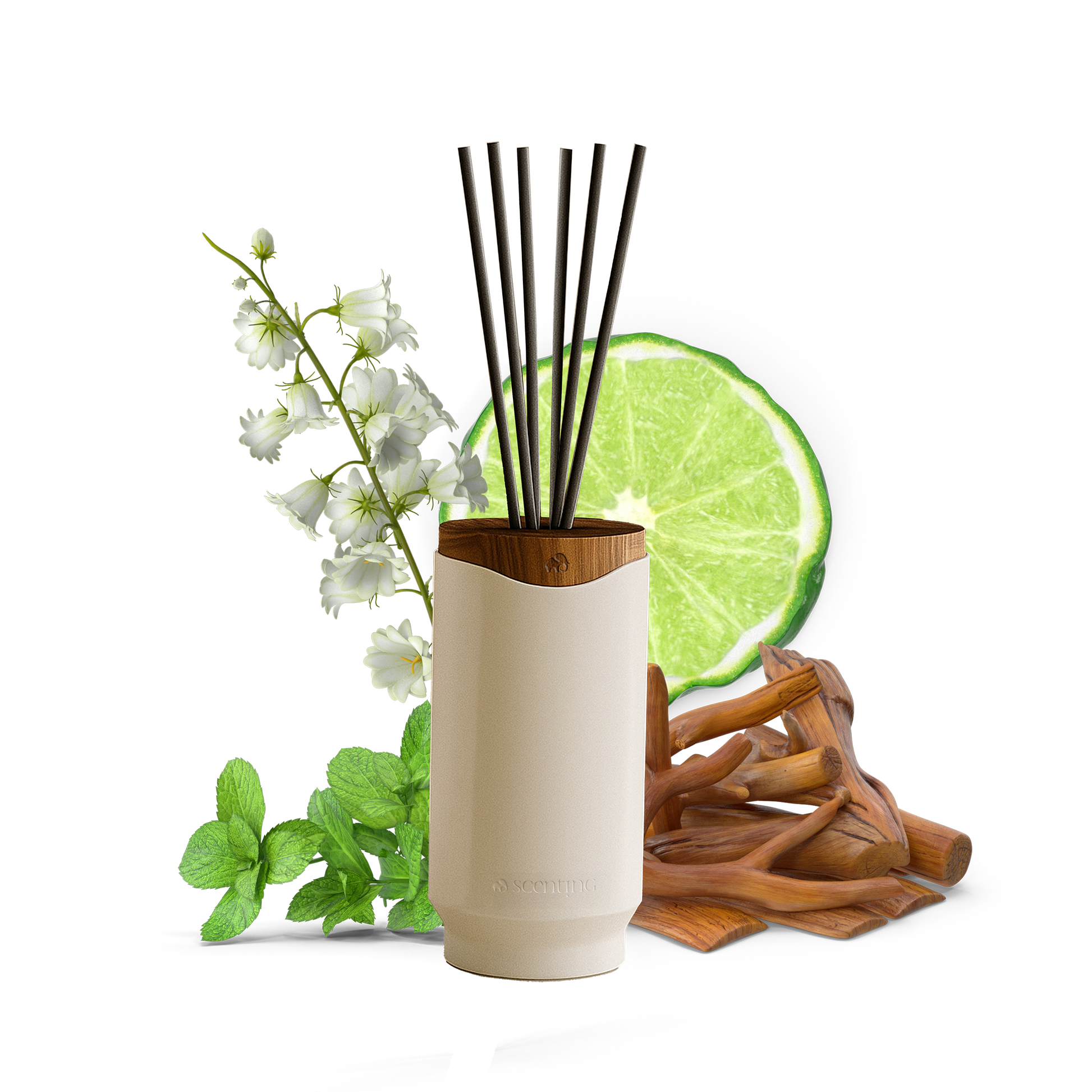 Bergamot & Sandalwood Stick Diffuser, 250ml - Scenting