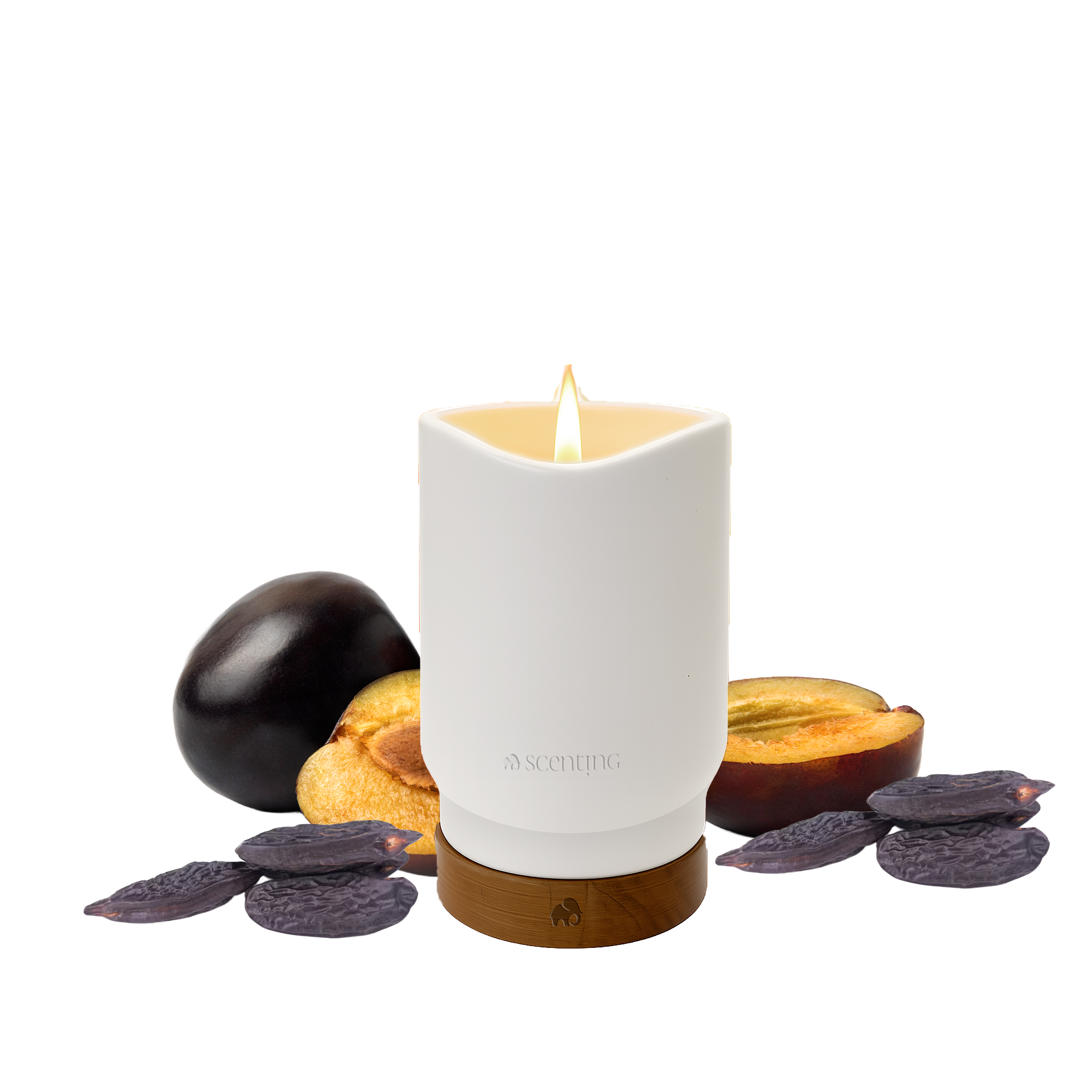 Plum & Tonka Bean Scented Candle, 450g