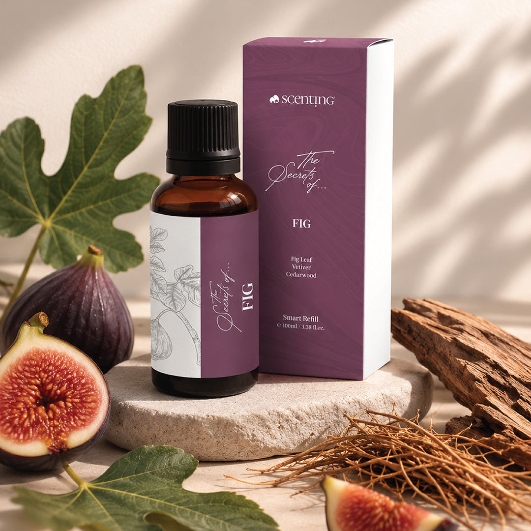 Secrets of Fig Smart Refill - Scenting