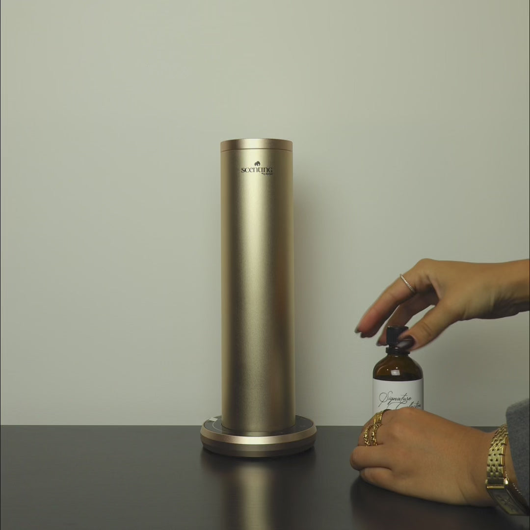 Carregar vídeo: Silver Smart Diffuser